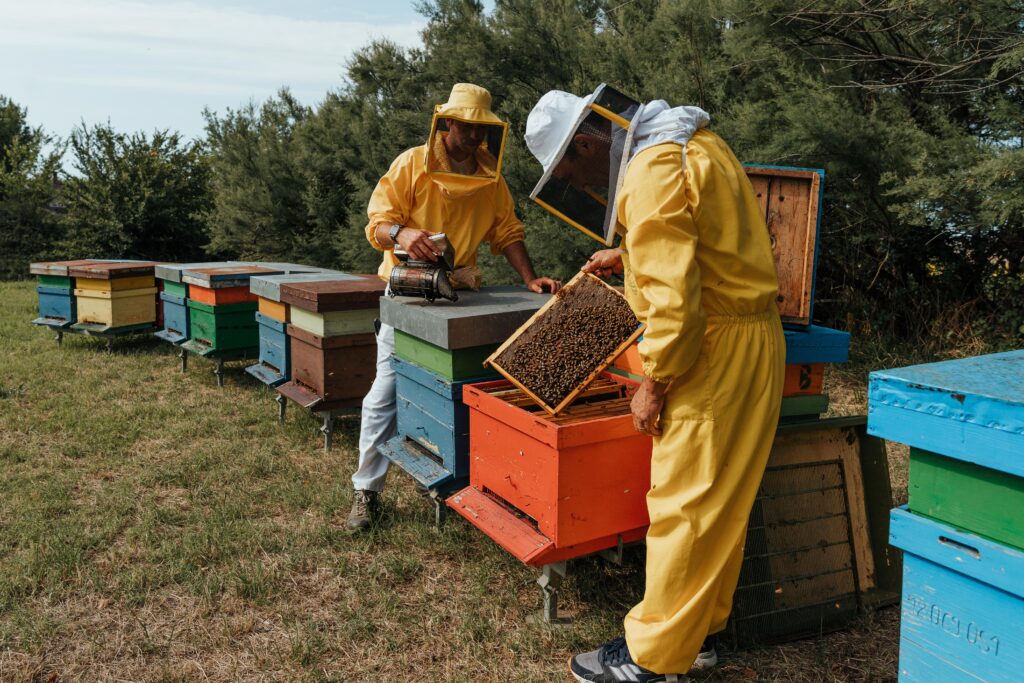 Un'arnia con te per le api  Apicoltura Tieri - Una storia Biologica